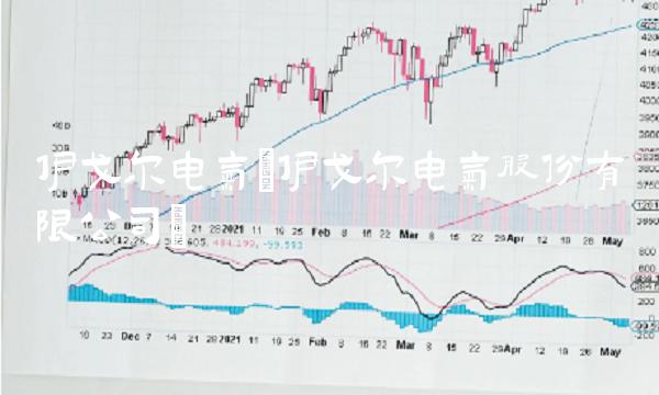 伊戈尔电气(伊戈尔电气股份有限公司)