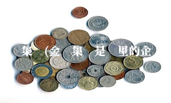 金辉集团(金辉集团是哪里的企业)