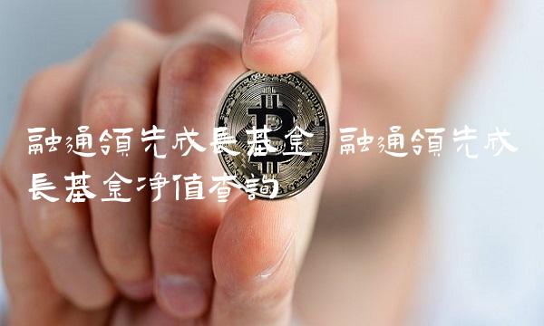 融通领先成长基金 融通领先成长基金净值查询