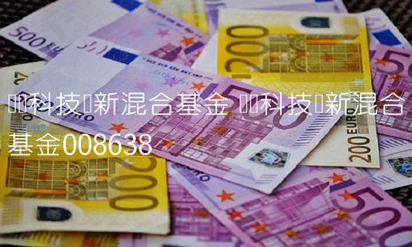 广发科技创新混合基金 广发科技创新混合基金008638