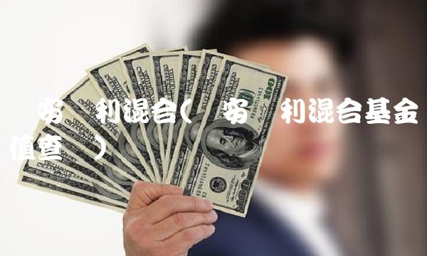 华安宝利混合(华安宝利混合基金净值查询)