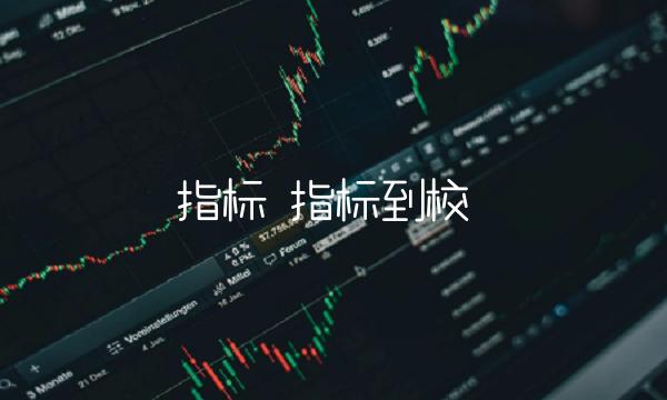 指标 指标到校