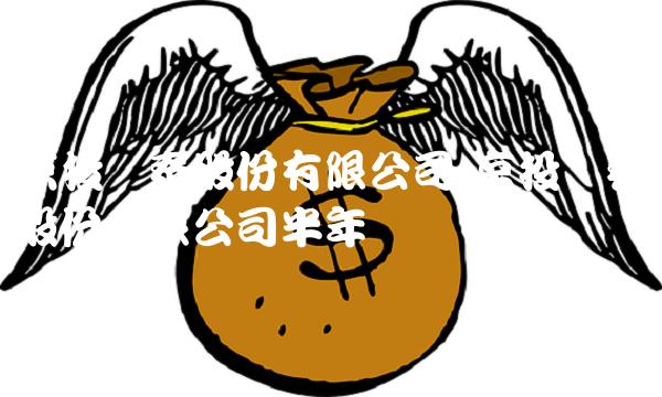 京投银泰股份有限公司,京投银泰股份有限公司半年报