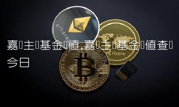 嘉实主题基金净值,嘉实主题基金净值查询今日