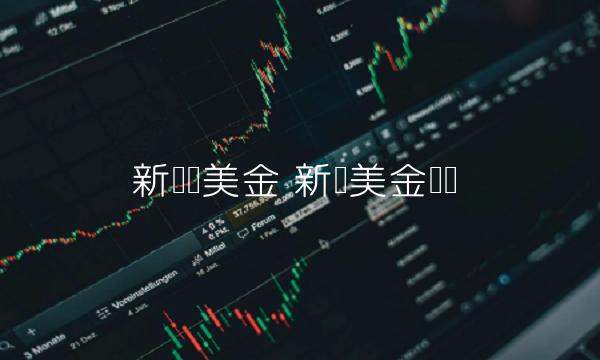 新币对美金 新币美金兑换