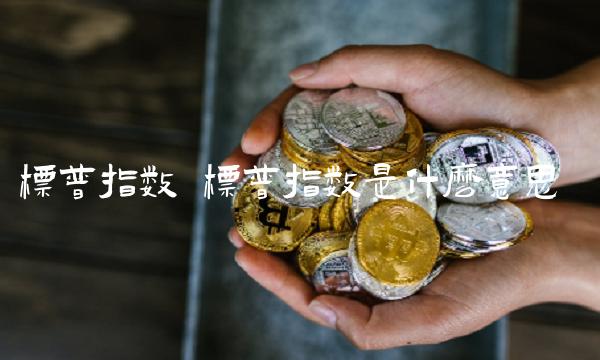 标普指数 标普指数是什么意思