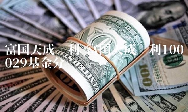 富国天成红利 富国天成红利100029基金分红