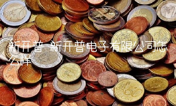 新开普 新开普电子有限公司怎么样