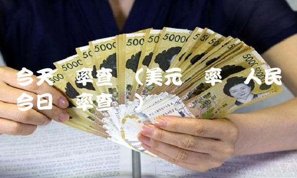 今天汇率查询(美元汇率对人民币今日汇率查询)