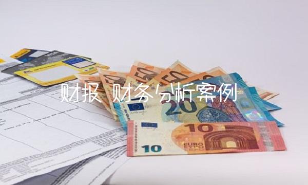 财报 财务分析案例