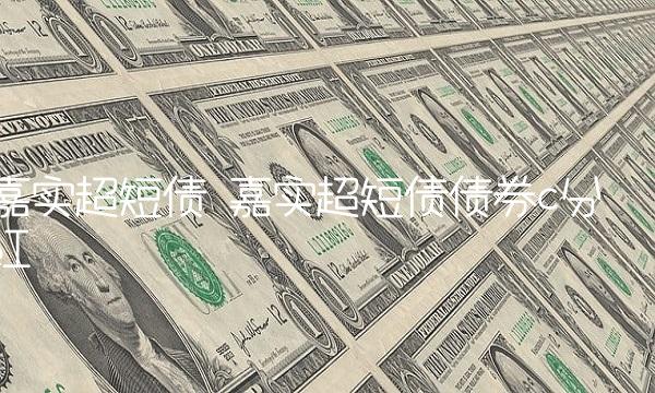 嘉实超短债 嘉实超短债债券c分红