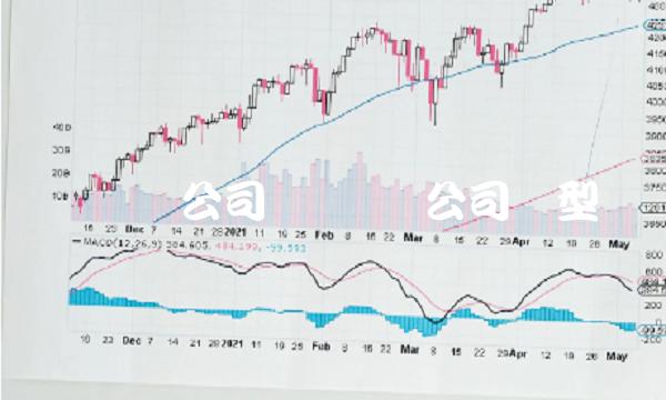 麦当劳公司 麦当劳公司类型