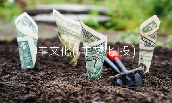 实丰文化(实丰文化创投)