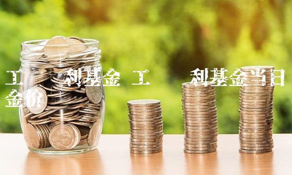 工银红利基金 工银红利基金当日现金价值