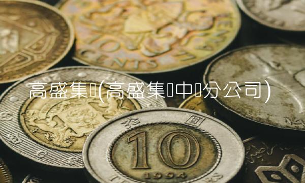 高盛集团(高盛集团中国分公司)