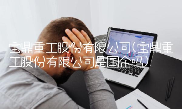 宝鼎重工股份有限公司(宝鼎重工股份有限公司是国企吗)