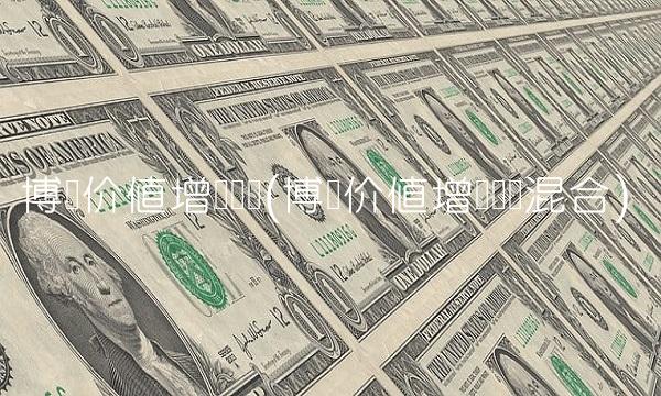 博时价值增长贰号(博时价值增长贰号混合)