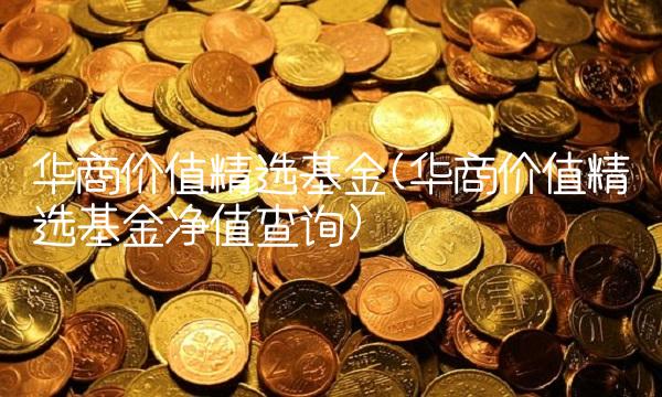 华商价值精选基金(华商价值精选基金净值查询)