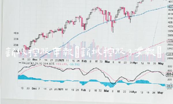 新城控股年报(新城控股3季报)