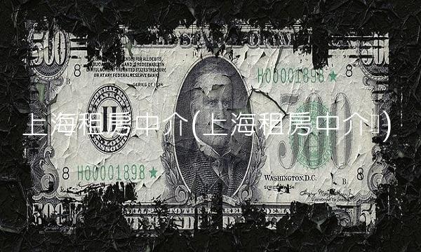 上海租房中介(上海租房中介费)