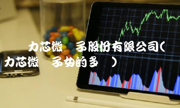 无锡力芯微电子股份有限公司(无锡力芯微电子女的多吗)