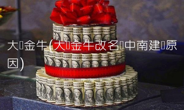 大连金牛(大连金牛改名为中南建设原因)