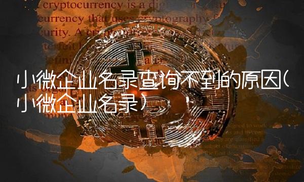 小微企业名录查询不到的原因(小微企业名录)