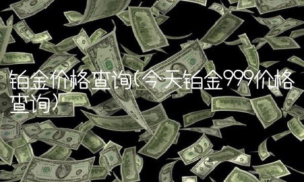 铂金价格查询(今天铂金999价格查询)