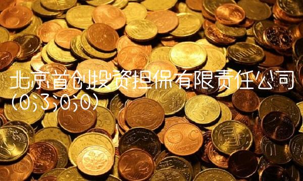 北京首创投资担保有限责任公司(0;3;0;0)