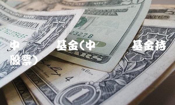 中银蓝筹基金(中银蓝筹基金持仓股票)