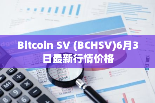 Bitcoin SV (BCHSV)6月3日最新行情价格