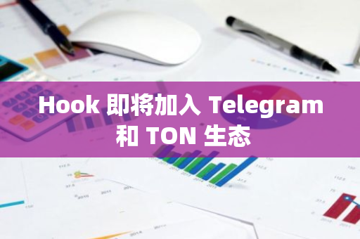 Hook 即将加入 Telegram 和 TON 生态