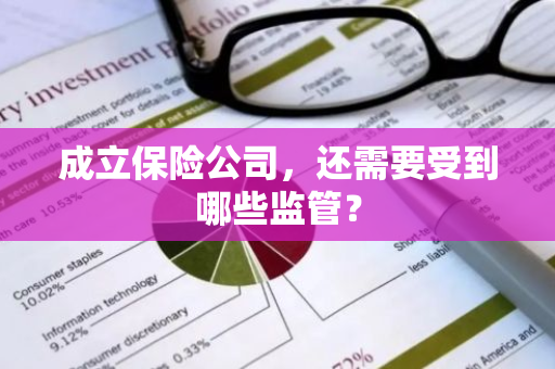 成立保险公司，还需要受到哪些监管？