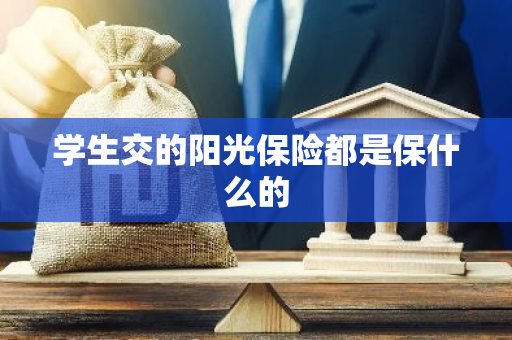 学生交的阳光保险都是保什么的