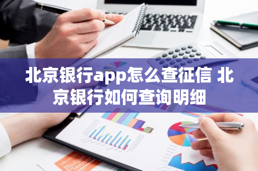 北京银行app怎么查征信 北京银行如何查询明细