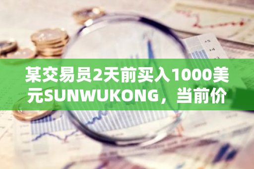 某交易员2天前买入1000美元SUNWUKONG，当前价值28.5万美元