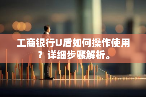 工商银行U盾如何操作使用？详细步骤解析。