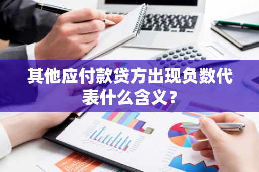 其他应付款贷方出现负数代表什么含义？