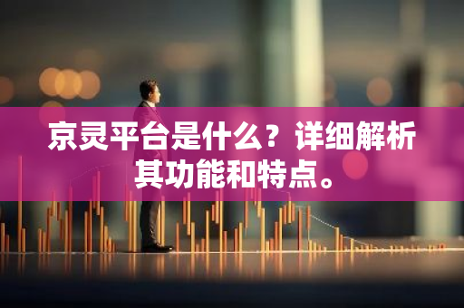 京灵平台是什么？详细解析其功能和特点。