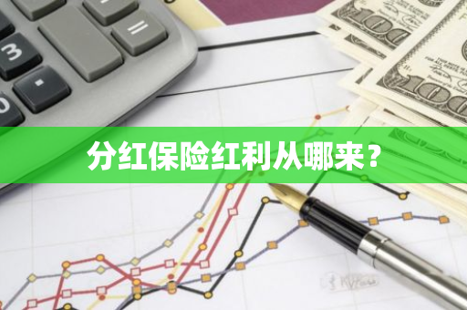 分红保险红利从哪来？