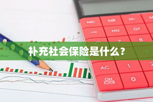 补充社会保险是什么？