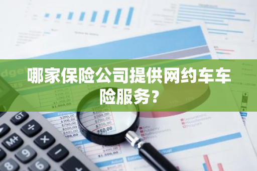 哪家保险公司提供网约车车险服务？