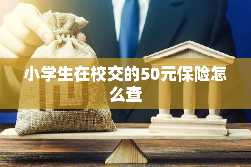 小学生在校交的50元保险怎么查