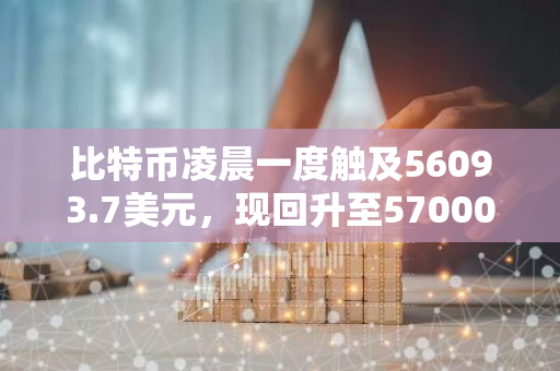 比特币凌晨一度触及56093.7美元，现回升至57000美元上方