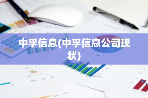 中孚信息(中孚信息公司现状)