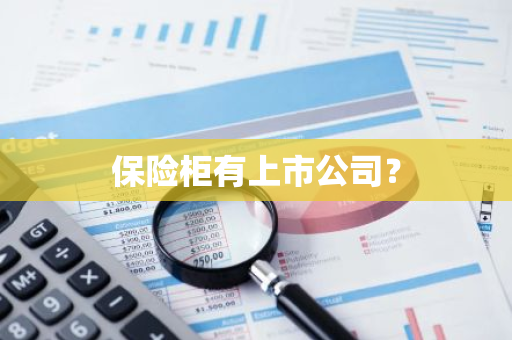 保险柜有上市公司？