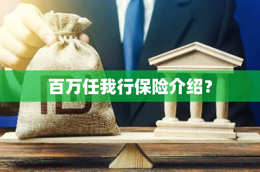 百万任我行保险介绍？