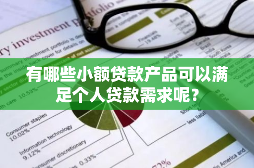 有哪些小额贷款产品可以满足个人贷款需求呢？