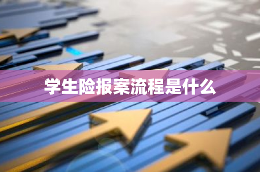 学生险报案流程是什么