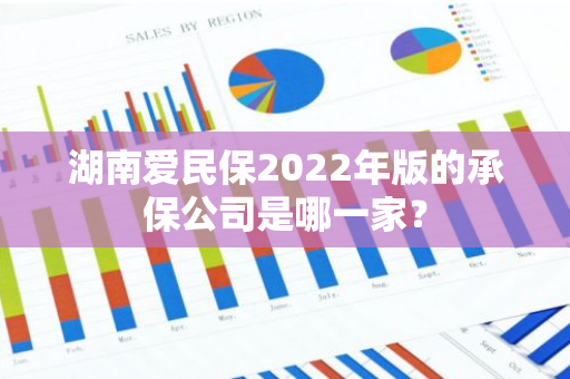 湖南爱民保2022年版的承保公司是哪一家？